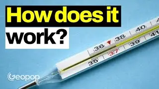 How Is It Possible? 3 Incredible Science Tricks
