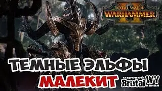 Total War: Warhammer 2 ⚔ Темные эльфы - Прохождение E1S7