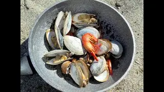 СБОР МОРЕПРОДУКТОВ . песчаная ракушка МИЯ  , ЧИЛИМ , морские улитки .