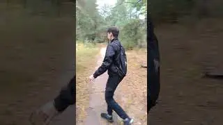 Гуляем в осеннем сосновом Бору Подмосковья, красивое ветвистое дерево.