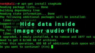 Conceal Secret Messages or Data Through Steganography with Steghide [Tutorial] #kali #termux