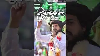 Shahbaz Sharif Meets Macron | Hafiz Saad Hussain Rizvi Interview #tlp #shorts