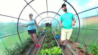ТЕПЛИЦЕ 6 ЛЕТ! В КАКОМ ОНА СОСТОЯНИИ??