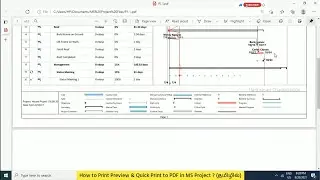 How to Print Preview & Quick Print to PDF in MS Project ? (தமிழில்)
