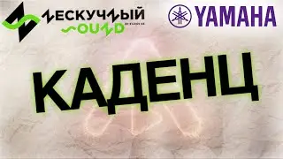 Финал и победитель конкурса 