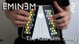 The Real Slim Shady (Eminem)