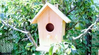 How to Make Wooden Bird House at Home with old Wood. DIY Bird House under $5. ASMR Woodworking