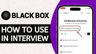 How to Use Blackbox AI in Interview (2024) - Full Guide