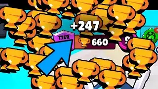 +247 Trophies🏆