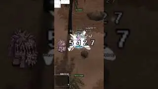 RAGNAROK ONLINE ASSASSIN CROSS ENDGAME HUNTING SOLO 