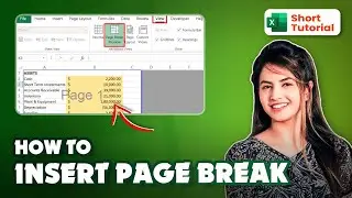 How to insert page break in excel 2024