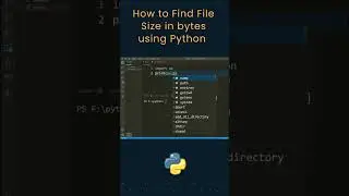 Find Size Of a File in Bytes Using Python | 