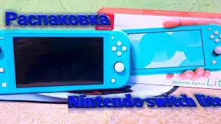 Распаковка Nintendo Switch Lite