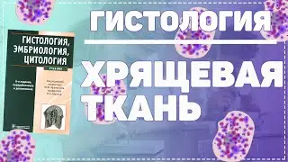 Скелетные ткани / ХРЯЩЕВАЯ ТКАНЬ / ХРЯЩИ /  Гистология