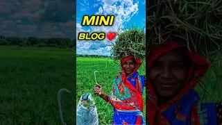 Mini blog video😊🇮🇳 #shorts #trending #minivlog #minivlogshorts #dailyMini block videovlog #vlogs