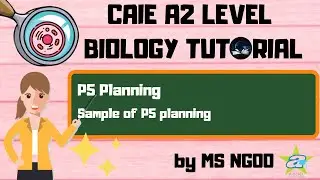 [BIO] Sample of P5 Planning l P5 planning