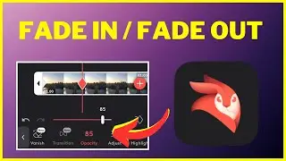 How to Fade-In and Fade-Out A Video In Videoleap | Videoleap Tutorial 2023