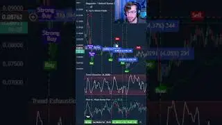 BEGINNER Crypto Strategy (36% PROFIT In 7 DAYS) 