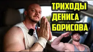 Про Дениса Борисова и его Триходы
