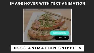 CSS3 Image hover Effect with Text Animation | CSS3 Animation Snippets