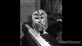 Power piano mix(создана в приложении FL Studio)