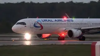 Evening spotting at twilight in airport Domodedovo, 06/07/24.