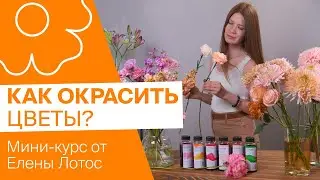 Как окрасить цветы? Мини-курс от Елены Лотос