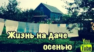 Жизнь на даче осенью