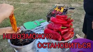 ВОСТОЧНЫЕ ОВОЩИ ГРИЛЬ ПОКОРЯТ КАЖДОГО. ОНИ ЗАХВАТЯТ ВАШИ МЫСЛИ. ВЫ НЕ ЗАБУДЕТЕ ЭТОТ ВКУС НИКОГДА...