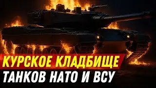 Кладбище техники НАТО в Курске: Что с ней сделает Россия?