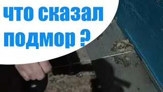 Пчеловодство. Как по подмору оценить правильность зимовки пчел.