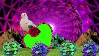 3D Love wedding green screen effects download  || Shaadi green screen wedding video effects 2021