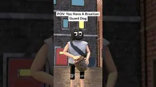 POV: You Have A Brazilian Guard Dog