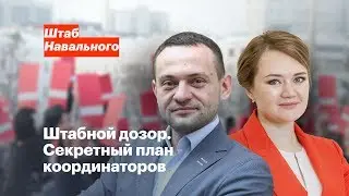 Штабной дозор. Секретный план координаторов