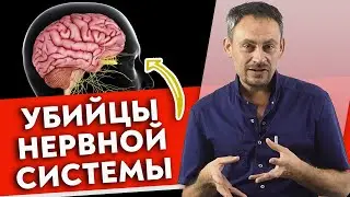 7 убийц мозга и нервной системы |  Как улучшить работу мозга?