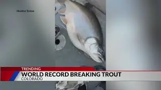 Man catches world record breaking trout