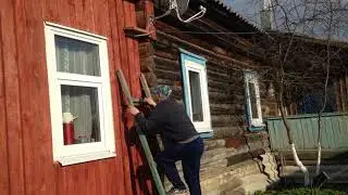 Коту нужна помощь?