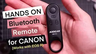 CHEAP Wireless Camera Remote. Works with Canon EOS R and R5| Aodelan BR-E1A hands on Review