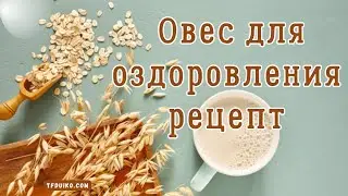 Овес для оздоровления организма: рецепт и польза