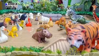 Animal Sounds for Kids: Learn Domestic, Pet and Wild Animals Name & Sound 4Kids!