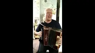 Бабочка  бабёночка  (Cover) гармонь Александр Овчинников