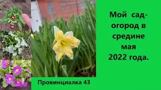 Мой сад в мае 2022 года. My garden in May 2022.