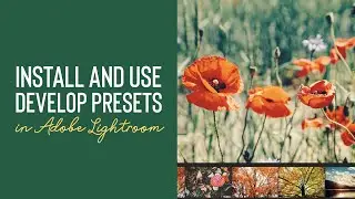 LIGHTROOM TUTORIAL | How to Install and Use 'Develop Presets'