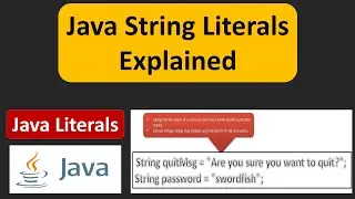 Java String Literals Explained | What is a Java String Literals? | Java Tutorial