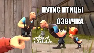 Путис Птицы 