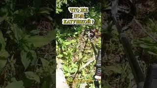 ЛЕСНОЙ КОП с металлоискателем XP DEUS 2. КЛАДОМАНИЯ. 