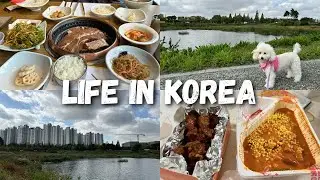 LIFE IN KOREA 🇰🇷 Winnie’s 6th Birthday 🎁🎂