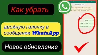 WhatsApp без двойной галочки |  Как убрать двойную галочку в сообщении WhatsApp (2023)