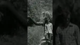An Impressive Experiment...Glad we don't do this anymore...