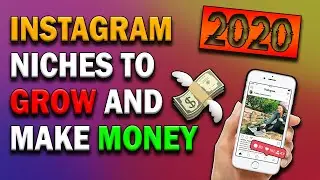 Best Niches to Grow and Make Money on Instagram for 2020